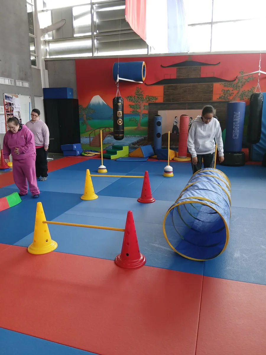 Vue d'ensemble des parcours et ateliers de motricité adaptés dans un gymnase avec Gymouv'