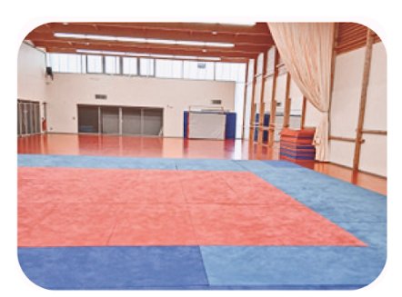 Salle intérieure pour les séances d'activité physique adaptée à Vénissieux